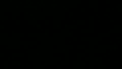 Peter online show from December 2024 08:31:02 PM