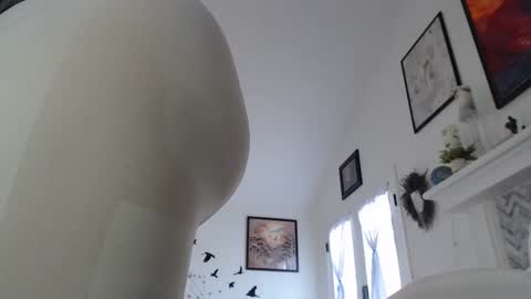 Aurora Willows online show from January 2026 03:27:02 PM