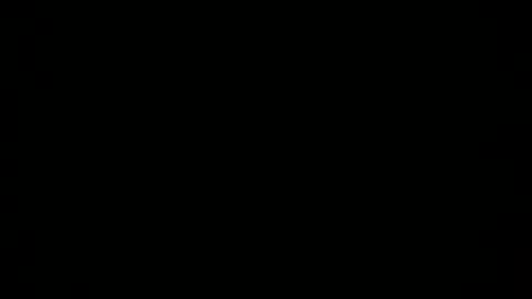 1234check online show from January 2025 12:05:01 AM