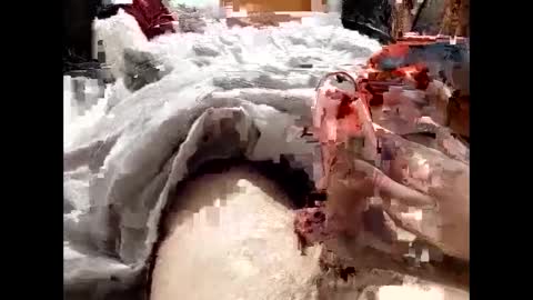 19spieler99 online show from February 2025 08:21:01 PM