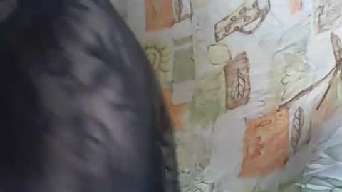 Deluxepussy online show from November 2025 10:03:02 AM