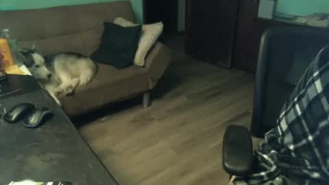 1handyanddee online show from November 2025 01:53:01 AM