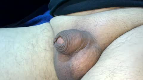 MICA online show from December 2024 05:20:02 PM