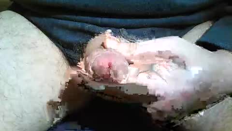 2001uwuk online show from November 2025 09:20:02 PM