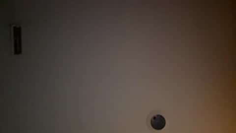 20yroldbwcab online show from March 2026 07:09:02 AM