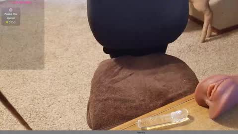 2tiredoftoys online show from November 2025 11:32:01 PM