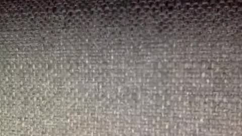 30nick online show from April 2026 06:46:01 AM