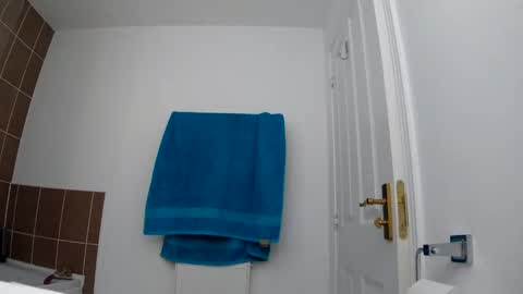 37429774756 online show from December 2024 08:58:01 PM