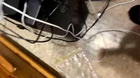 420bbwlover online show from January 2025 03:17:02 PM