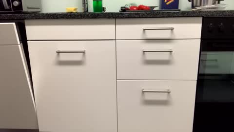 Snapshot of 4evervirgo chatting on November 2025 05:37:02 PM Alex online show from November 2025 05:37:02 PM