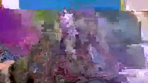 Snapshot of 4nuf chatting on January 2025 07:48:01 AM 4nuf online show from January 2025 07:48:01 AM