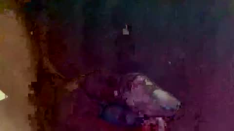 4utootry online show from March 2026 01:40:02 PM