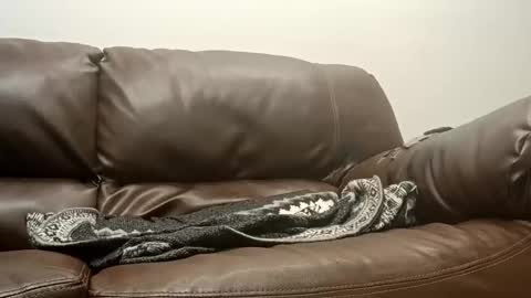 50groupauto online show from January 2026 12:05:01 AM