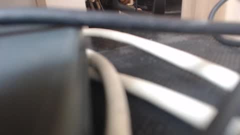 Snapshot of 64293boy chatting on January 2026 12:43:02 PM 64293boy online show from January 2026 12:43:02 PM