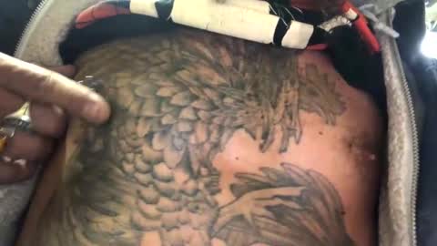 6990fiko online show from March 2025 10:56:02 AM