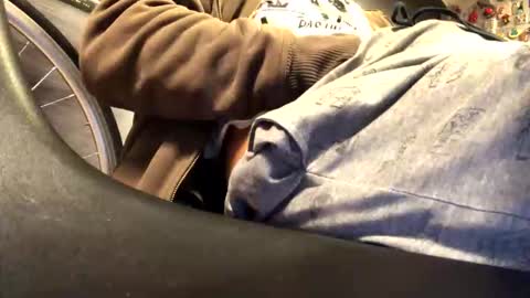 6990fiko online show from March 2026 10:05:02 PM