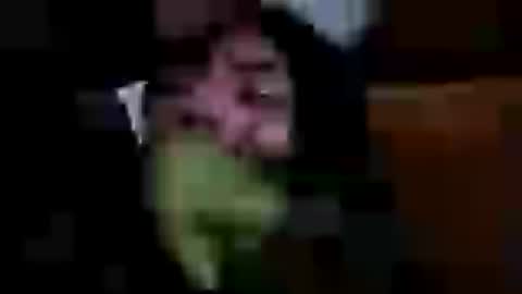 Lee lowell online show from July 2026 07:22:01 AM