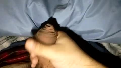69angel96 online show from July 2026 02:31:02 AM