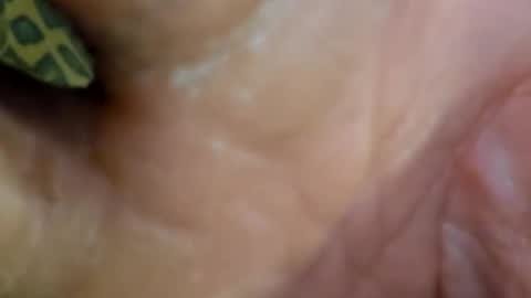 HUGH G RECTION online show from December 2024 09:00:01 PM