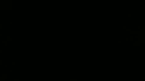 Noha online show from January 2025 09:51:02 AM