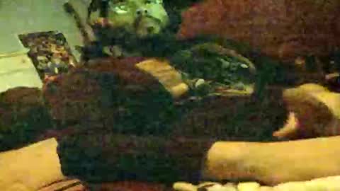 Snapshot of 6instraighter7 chatting on November 2025 11:55:02 AM 6instraighter7 online show from November 2025 11:55:02 AM