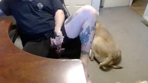 MASTIFF online show from January 2026 05:28:02 PM