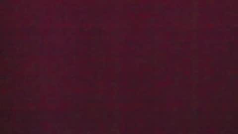 Brendi online show from January 2025 07:50:01 AM