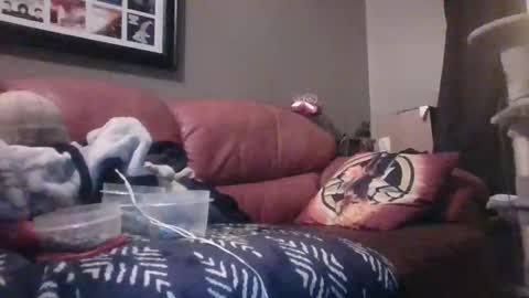 7inchking269 online show from February 2026 02:45:01 AM