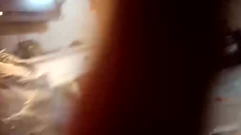 7lairddip online show from October 2025 03:59:02 AM