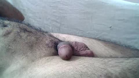 Massive hungry cock online show from July 2026 01:34:01 AM