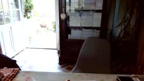 _123_voyeur_ online show from March 2026 02:02:02 PM