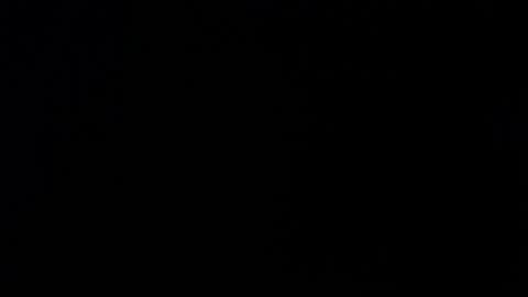 Snapshot of _aafrodita__ chatting on November 2025 11:55:02 AM Alexa online show from November 2025 11:55:02 AM