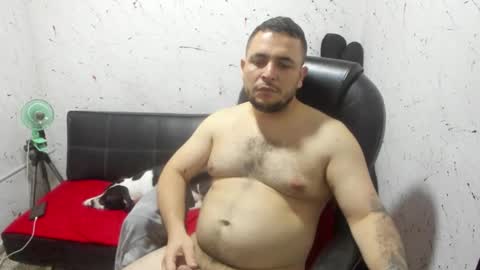     ----       online show from February 2026 04:42:02 AM