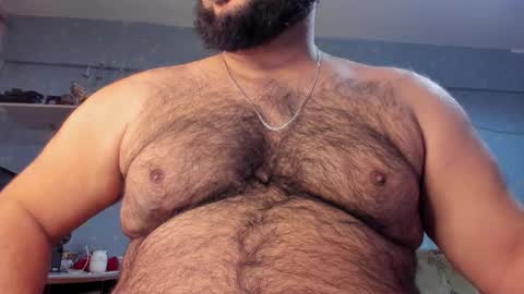 Snapshot of _alan_bear_ chatting on February 2025 03:45:02 PM Alan online show from February 2025 03:45:02 PM