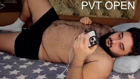 Snapshot of _alan_bear_ chatting on February 2025 08:33:02 PM Alan online show from February 2025 08:33:02 PM