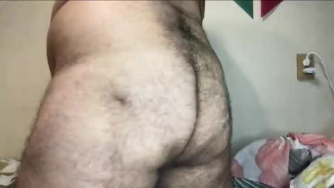 Snapshot of _alan_bear_ chatting on November 2025 06:09:02 PM Alan online show from November 2025 06:09:02 PM