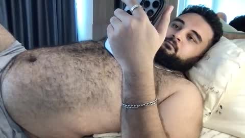 Snapshot of _alan_bear_ chatting on December 2025 07:36:02 AM Alan online show from December 2025 07:36:02 AM