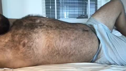 Snapshot of _alan_bear_ chatting on February 2026 03:46:01 AM Alan online show from February 2026 03:46:01 AM