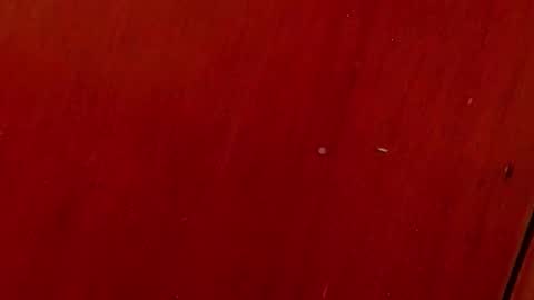 Any online show from October 2025 07:01:02 PM