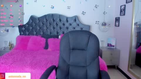 Snapshot of _antonnela_ chatting on February 2025 01:43:02 PM antonnela online show from February 2025 01:43:02 PM