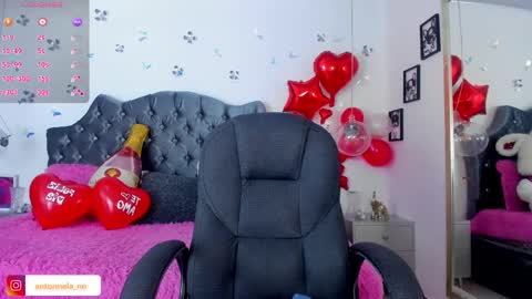 Snapshot of _antonnela_ chatting on February 2025 04:37:02 PM antonnela online show from February 2025 04:37:02 PM