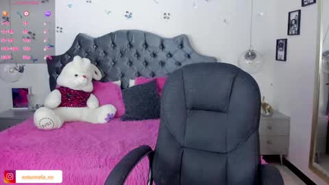 Snapshot of _antonnela_ chatting on February 2025 01:47:02 PM antonnela online show from February 2025 01:47:02 PM