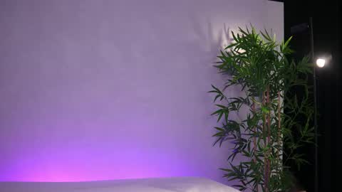 Arielle online show from March 2026 08:08:02 AM