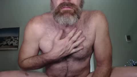 Bacchus online show from December 2024 03:37:01 AM