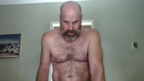 Bacchus online show from December 2024 01:30:02 PM