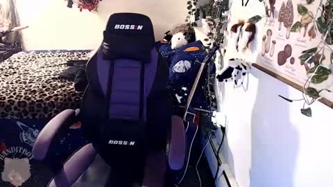 Snapshot of _bandit_b0y chatting on February 2026 11:14:01 PM bandit online show from February 2026 11:14:01 PM