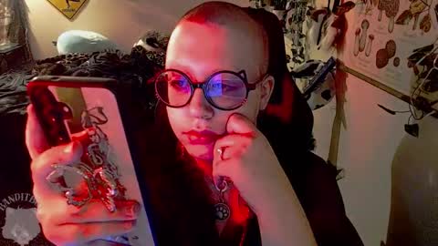 Snapshot of _bandit_b0y chatting on March 2026 04:31:01 AM bandit online show from March 2026 04:31:01 AM