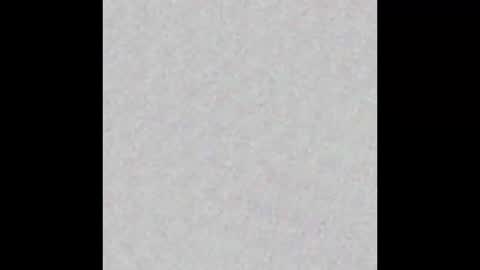 Brenda online show from January 2025 12:45:02 PM