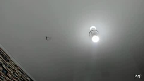 _casandra11 online show from January 2025 09:39:02 AM