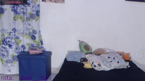 Darkitty online show from January 2025 06:12:01 AM